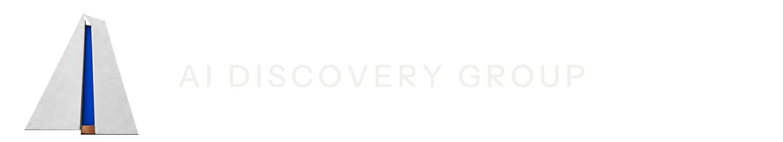 AI Discovery Group